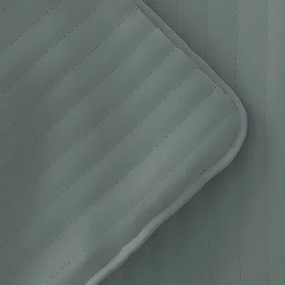 Kirkland's Twin Quilt Set In Green