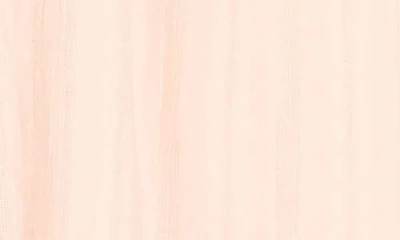 Splendid Paloma Top In Animal Print