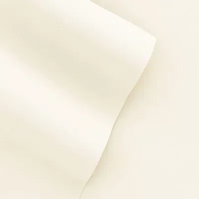 Kirkland's Twin Xl Sheet Set In Neutral