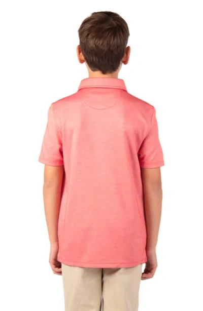 Tailorbyrd Kids' Solid Knit Polo In Multi