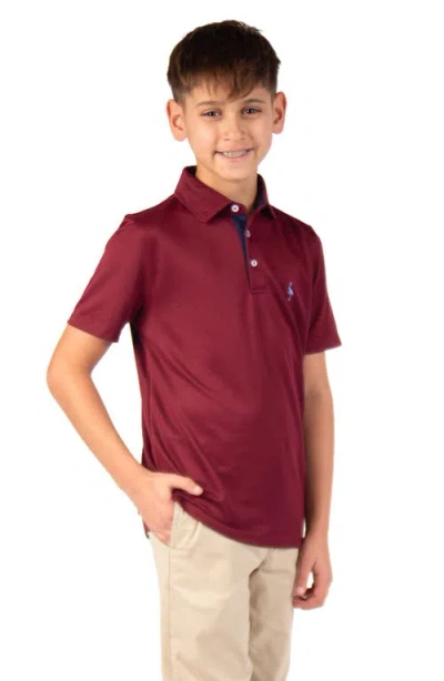 Tailorbyrd Kids' Solid Knit Polo In Brown