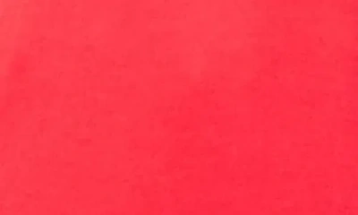 Tailorbyrd Kids' Solid Knit Polo In Red