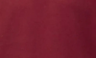 Tailorbyrd Kids' Solid Knit Polo In Brown