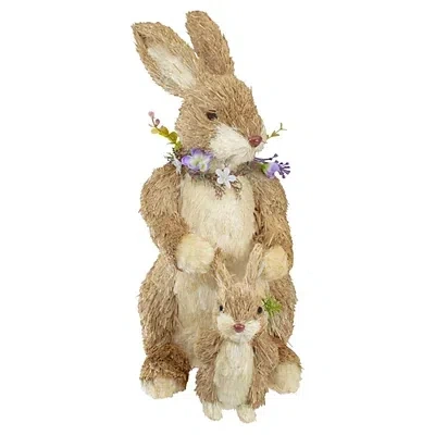 Kirkland's Mommy And Baby Bunny Figurine In Brown