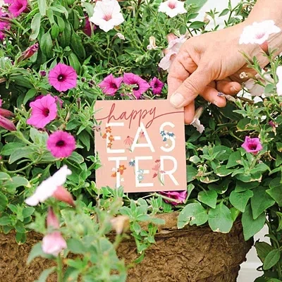 Kirkland's Gift Set In Multi