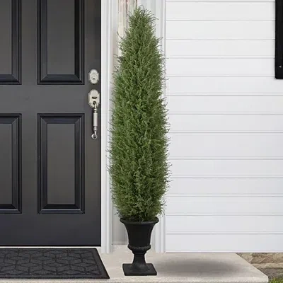 Kirkland's Cedar Pine Tree In Urn Pot In Green