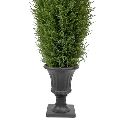 Kirkland's Cedar Pine Tree In Urn Pot In Green