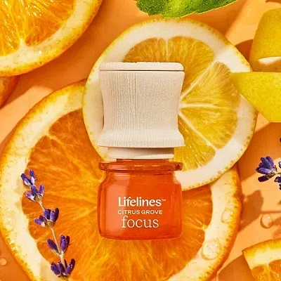 Kirkland's Discovery Set In Multi