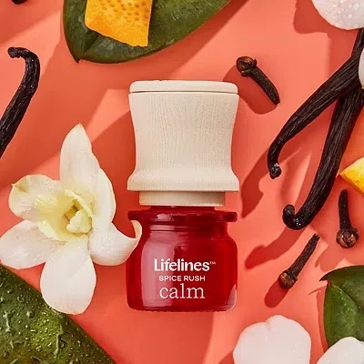 Kirkland's Discovery Set In Multi