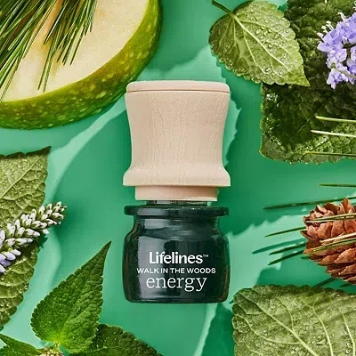 Kirkland's Discovery Set In Multi