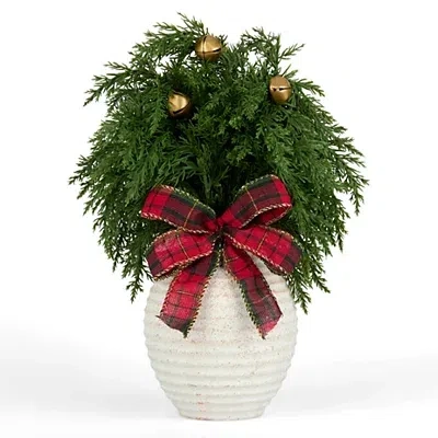 Kirkland's Juniper Bell Arrangement With Plaid Bow In Multi