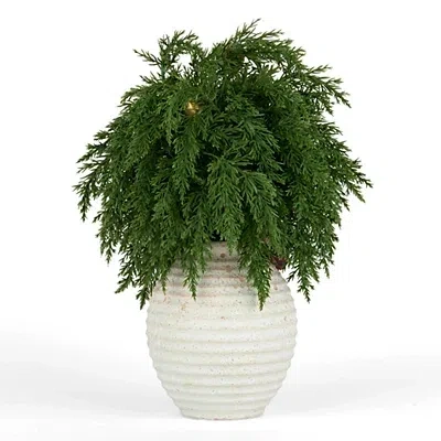 Kirkland's Juniper Bell Arrangement With Plaid Bow In Multi