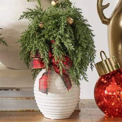 Kirkland's Juniper Bell Arrangement With Plaid Bow In Multi