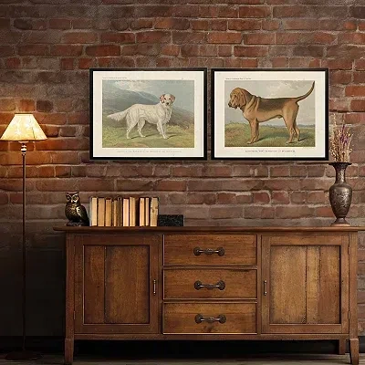 Kirkland's Bloodhound Bookplate Framed Art Print In Multi
