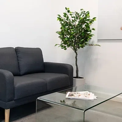 Kirkland's Tree In White Ceramic Pot In Green