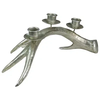 Kirkland's Champagne Deer Antler Taper Candle Holder In Silver