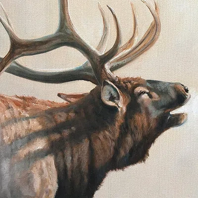 Kirkland's Wild Elk Framed Canvas Art Print In Multi