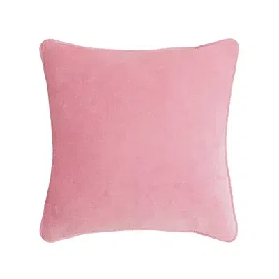 Kirkland's Wake Me When I'm Famous Needlepoint Throw Pillow In Multi