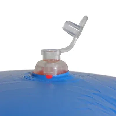 Kirkland's Giant Parrot Inflatable Pool Float In White