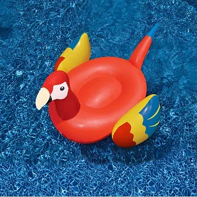Kirkland's Giant Parrot Inflatable Pool Float In White