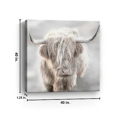 Kirkland's Solo Highland Cow Canvas Art Print In Gray