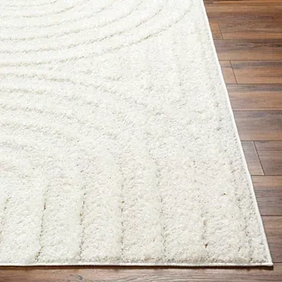 Kirkland's Modern Curve Area Rug In White