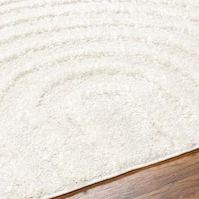 Kirkland's Modern Curve Area Rug In White