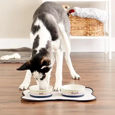 Kirkland's Eat & Drink Medium Striped Pet Bowls In Multi