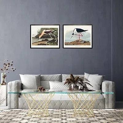 Kirkland's Vintage American Avocet Bookplate Framed Art Print In Multi