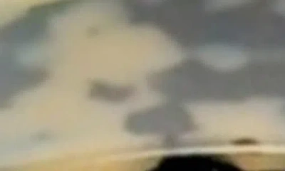 Ficcare Wynn Wide Headband In White