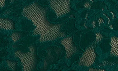 Hanky Panky Signature Lace Boyshorts In Green