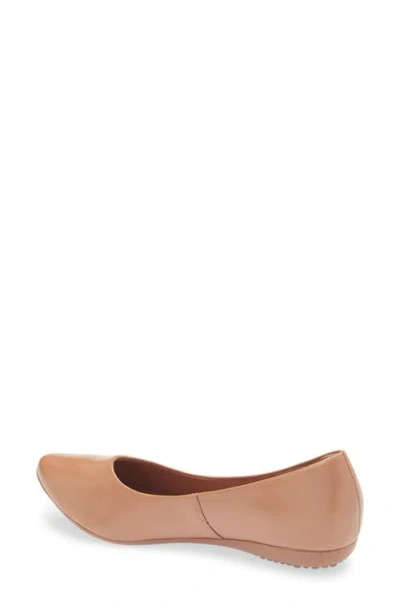Bottero Botdogs Ballet Flat In Blue