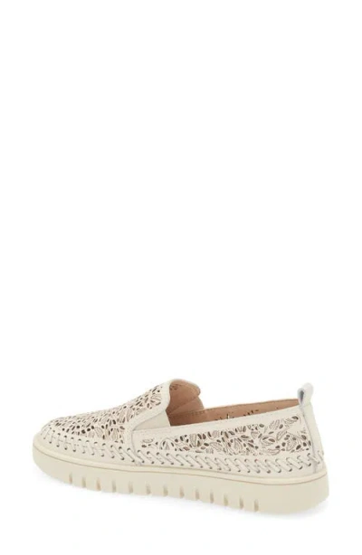 Bottero Botvicky Slip-on Sneaker In Multi