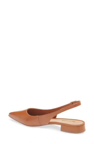 Bottero Alessandra Slingback Pointed Toe Flat In Brown