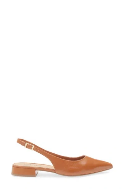 Bottero Alessandra Slingback Pointed Toe Flat In Brown