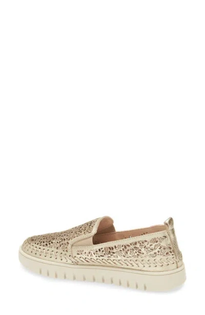 Bottero Botvicky Slip-on Sneaker In Gold