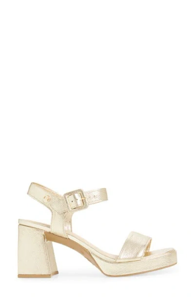 Bottero Britnet Ankle Strap Platform Sandal In Gold
