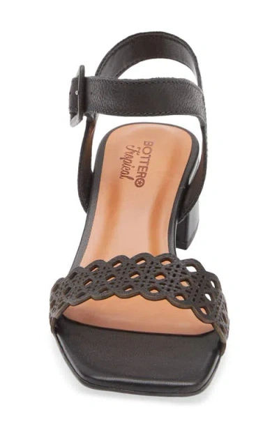 Bottero Catia Ankle Strap Sandal In Multi