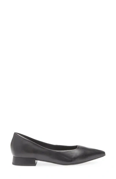 Bottero Alessandra Pointed Toe Ballet Flat In Black