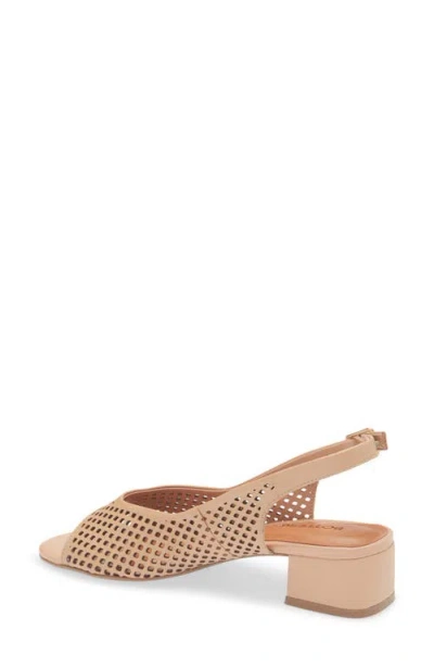 Bottero Botelsa Perforated Open Toe Slingback Pump In Multi