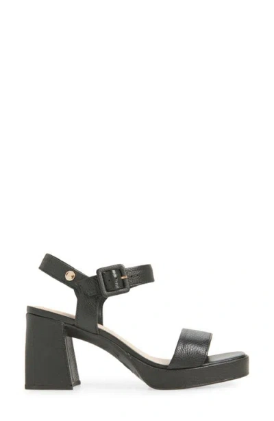 Bottero Britnet Ankle Strap Platform Sandal In Black