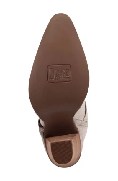 Dingo Yeehottie Over The Knee Western Boot In Gray