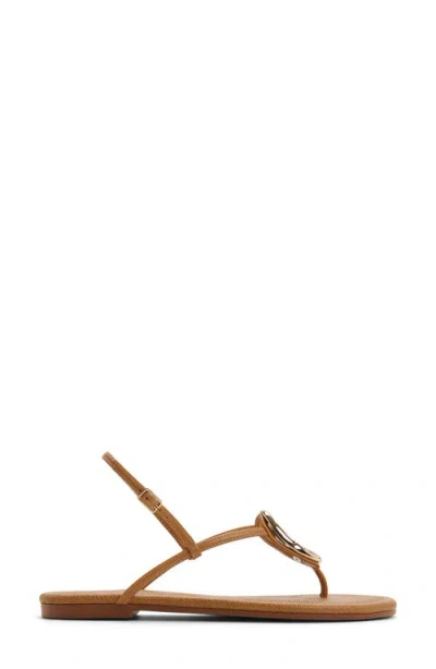 Aldo Sophya Slingback Sandal In Brown