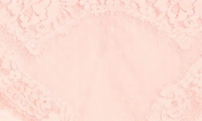 Free People Fiona Sheer Lace Bikini In Pink