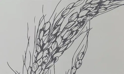 House Of Dohwa Rice Bran Toner In White