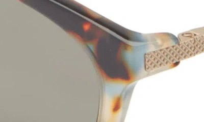 Eyebobs Statuette 51mm Polarized Cat Eye Sunglasses In Multi