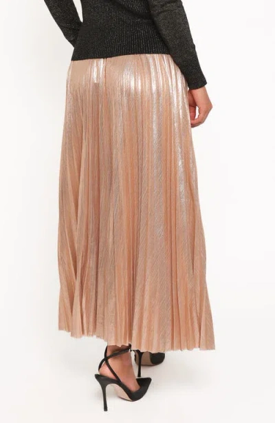 Petal And Pup Petal & Pup Bethy Pleated Maxi Skirt In Brown