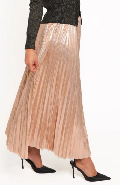 Petal And Pup Petal & Pup Bethy Pleated Maxi Skirt In Brown