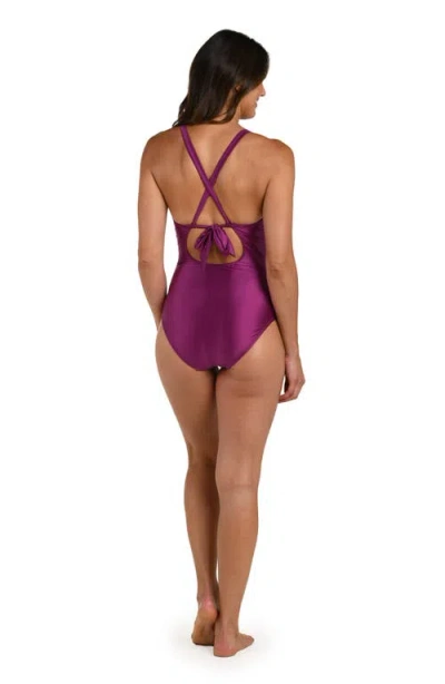 La Blanca Earth High Neck One-piece Swimsuit In Purple
