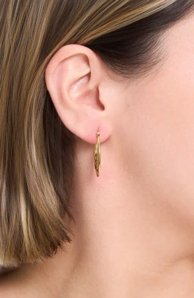 Athra Luxe Long Textured Hoop Earrings In Gold